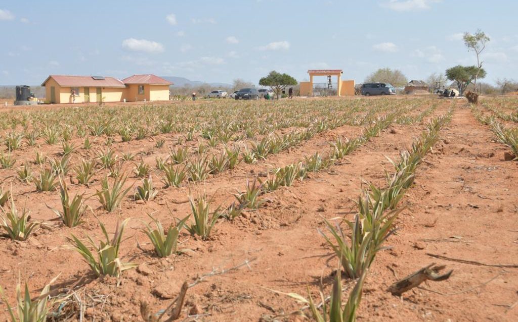 Malindi Agri City Affordable Land