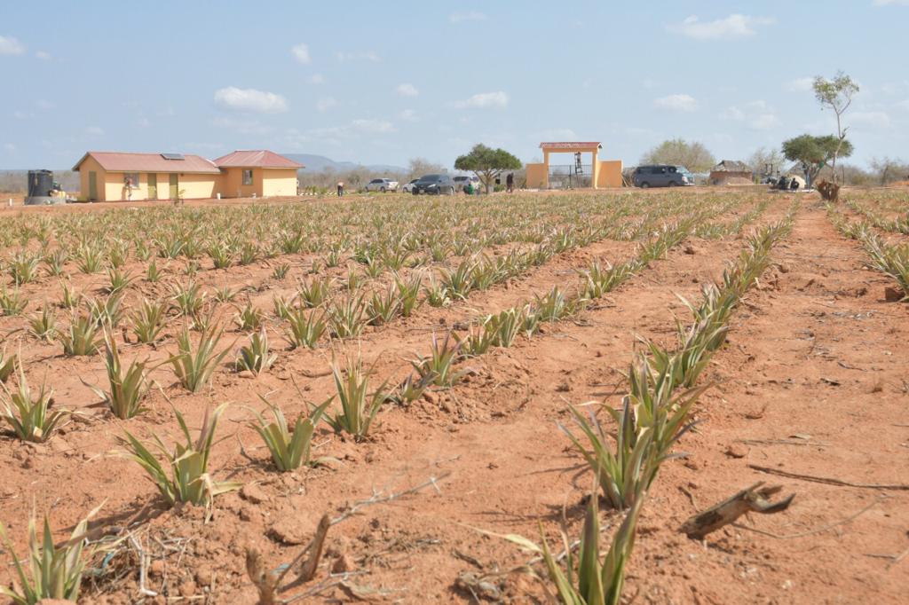 Malindi Agri City Affordable Land